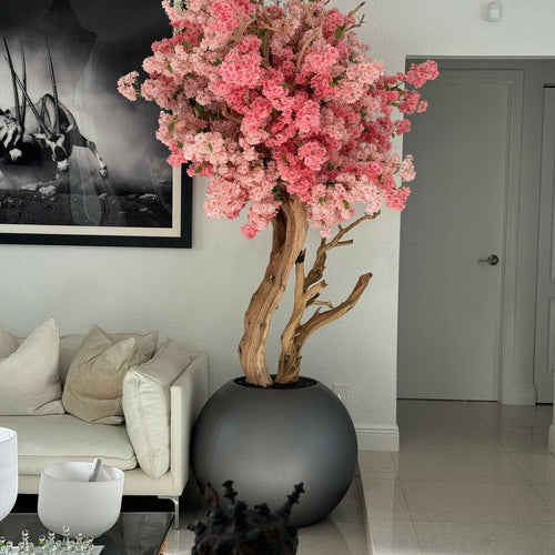 Eternal Magnolia