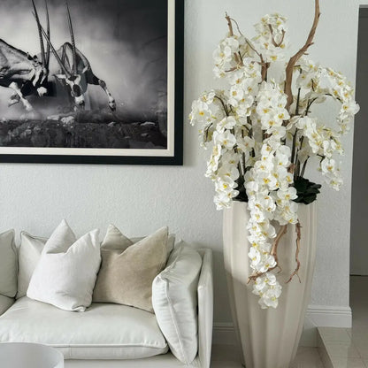 Eternal Magnolia