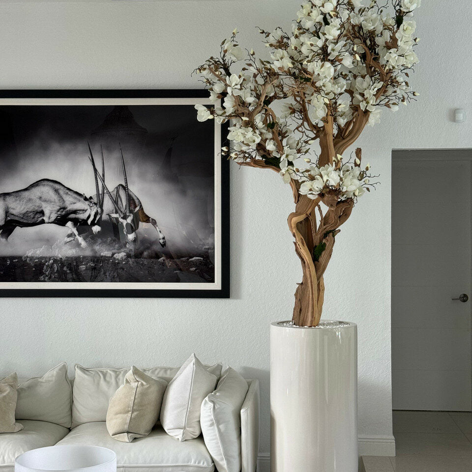 Eternal Magnolia