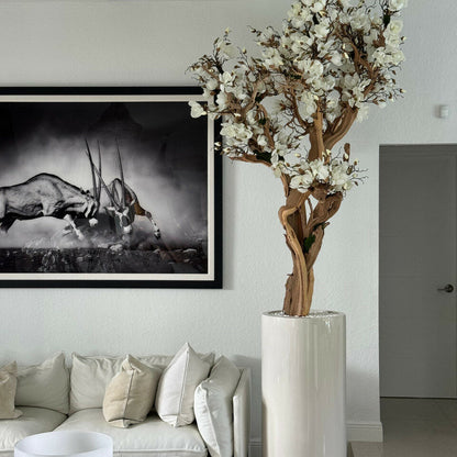 Eternal Magnolia