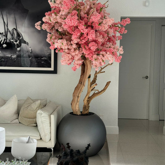Eternal Magnolia