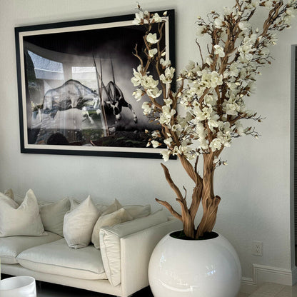 Eternal Magnolia
