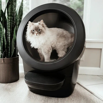 CatDen™