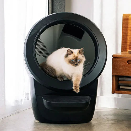 CatDen™