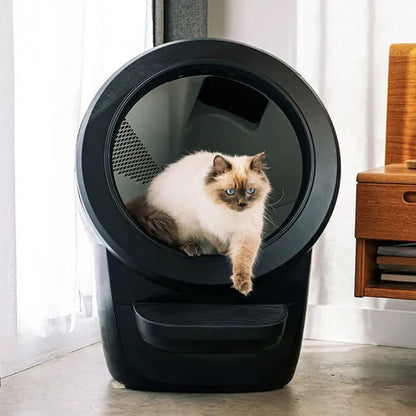 CatDen™
